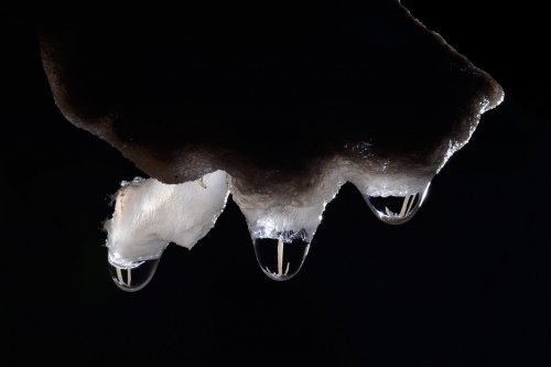 Barralong Cave (Jenolan Karst Conservation Reserve, Australie) - Reflets de fistuleuses dans les gouttes de trois petites stalactites(SP-17-1155)