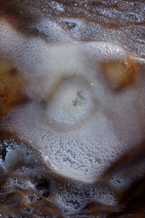 Henning Cave (Jenolan Karst Conservation Reserve, Australie) - Détail de coulées de calcite colorées avec cristaux(SP-17-1175)
