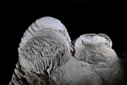 Nettle Cave (Jenolan Karst Conservation Reserve, Australie) - Stromatolite (formée par des dépôts de carbonate liés à l'activité de bactéries)(SP-17-1263)