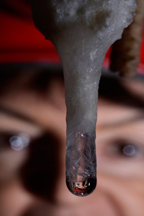 Aladdin Cave (Jenolan Karst Conservation Reserve, Australie) - Visage d'un spéléo se reflétant dans une goutte au bout d'une stalactite(SP-17-1325)