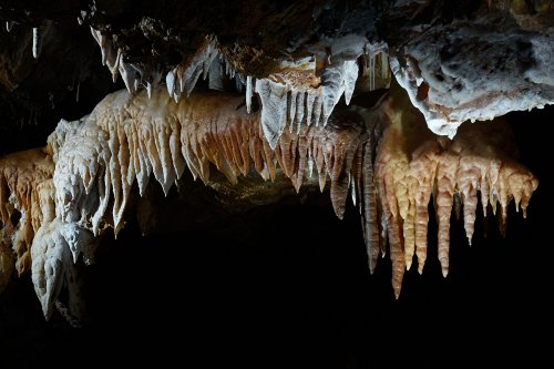 Grotte di Borgio Verezzi (Italie) - Rangée de stalactites massives de différentes couleurs(SP-17-1611)
