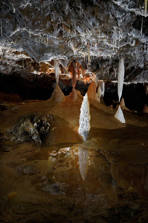 Grotte di Borgio Verezzi (Italie) - Stalagmite blanche sur un plancher calcifié coloré(SP-17-1621)
