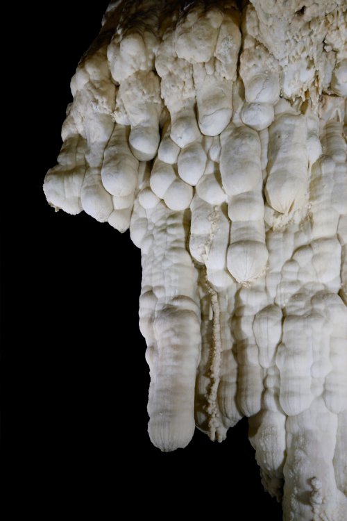 Grotte di Toirano (Italie) - formations subaquatiques dans un ancien lac asséché(SP-17-1627)