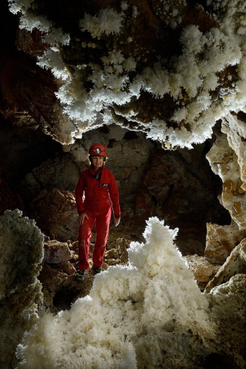 Grotte di Toirano (Italie) - Galerie avec bouquets d'aragonite (spéléo en arrière plan)(SP-17-1645)