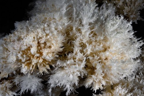 Grotte di Toirano (Italie) - bouquet d'aragonite(SP-17-1658)