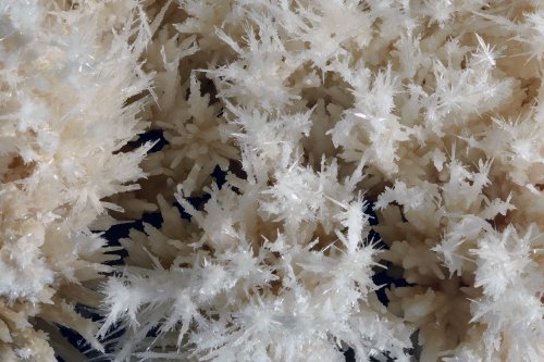 Grotte di Toirano (Italie) - détail de cristaux d'aragonite(SP-17-1661)