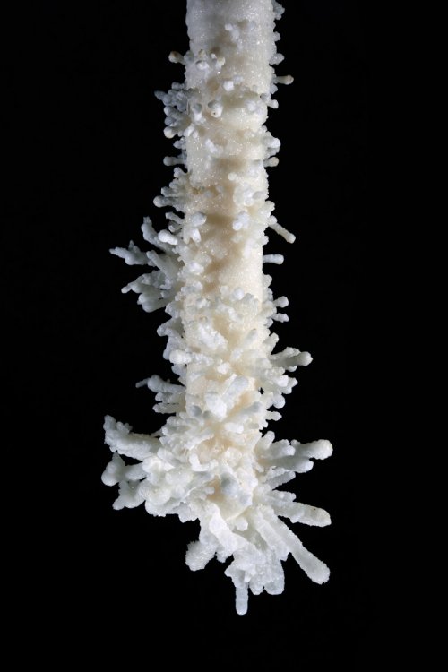 Grotte di Toirano (Italie) - stalactite avec cristaux d'aragonite(SP-17-1666)
