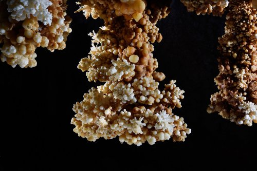 Grotte di Toirano (Italie) - stalactite massive jaune et blanche avec cristaux d'aragonite(SP-17-1673)
