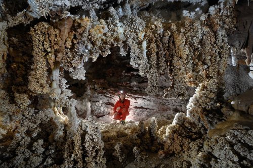 Grotte di Toirano (Italie) - Alcôve tapissée de cristaux d'aragonite(SP-17-1686)