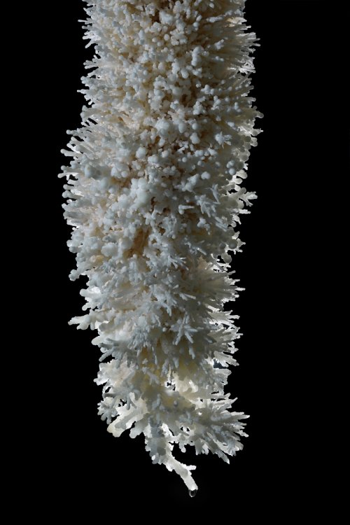 Grotte di Toirano (Italie) - stalactite avec cristaux d'aragonite(SP-17-1692)
