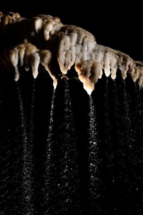 Grotte d'Orquette (Plateau d'Albès, Hérault) - Filets d'eau coulant de stalactites(SP-17-1774)