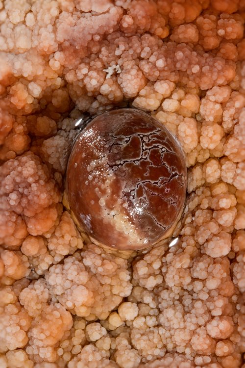 Réseau des perles - Perle rouge reposant sur des cristaux orange(SP-18-0203)