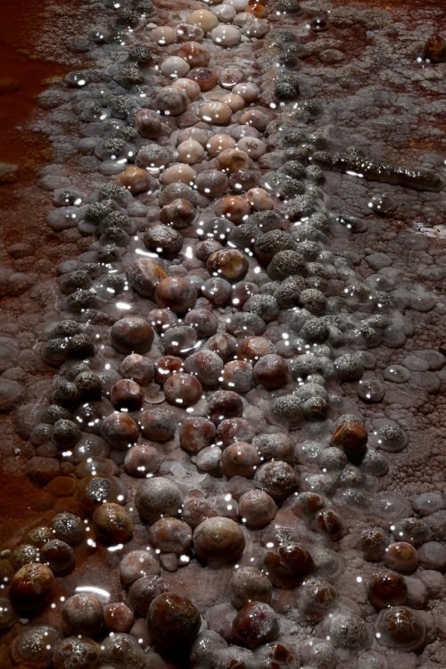 Réseau des perles - Ensemble de perles rouges et blanches alignées(SP-18-0211)