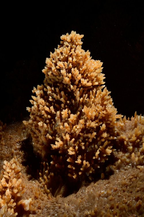 Stalagmite couverte de petits cristaux de calcite(SP-18-0424)