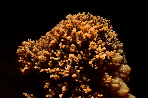 Stalagmite couverte de petits cristaux de calcite(SP-18-0429)