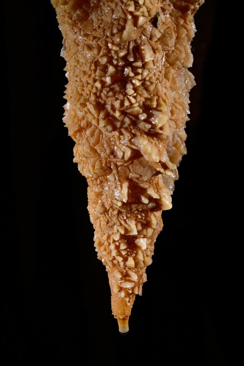 Stalactite constituée de gros cristaux de calcite(SP-18-0435)