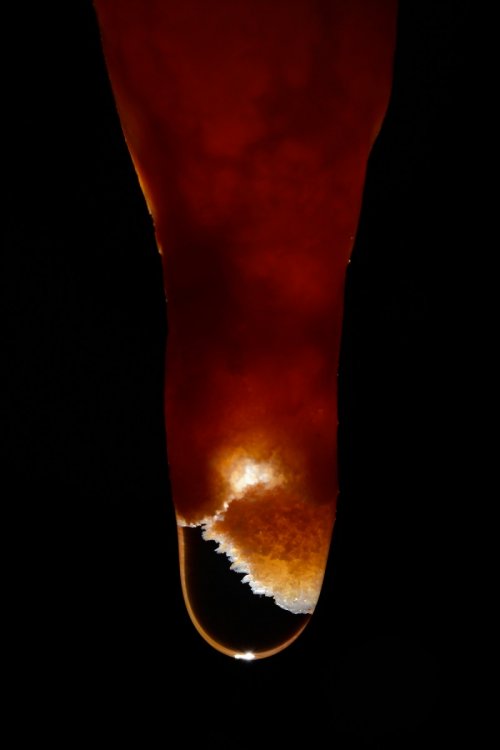 Extrémité d'une fine stalactite avec une collerette de cristaux (SP-18-0444)