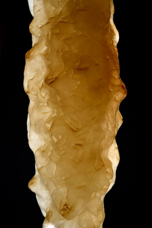 Détail d'une stalactite avec les cristaux visibles en transparence(SP-18-0446)