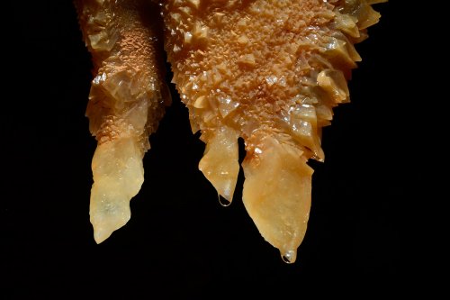 Monocristaux de calcite(SP-18-0451)