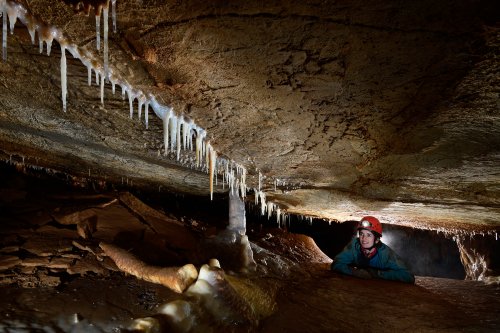 Tropfsteinhöhle (Allemagne) - Progression dans un laminoir avec un alignement de petites stalactites.(SP-18-0584)