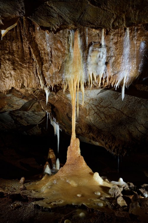 Tropfsteinhöhle (Allemagne) - Stalagtite et stalagmite jointives.(SP-18-0590)