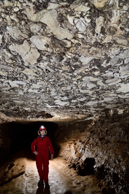 Kluterthöhle (Allemagne) - Galerie naturelle avec fossiles de coraux au plafond (calcaires dévoniens).(SP-18-0609)