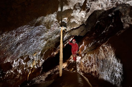 Huttenblaserschachthöhle (Allemagne) - Fine colonne stalagmitique au milieu d'une petite galerie.(SP-18-0650)