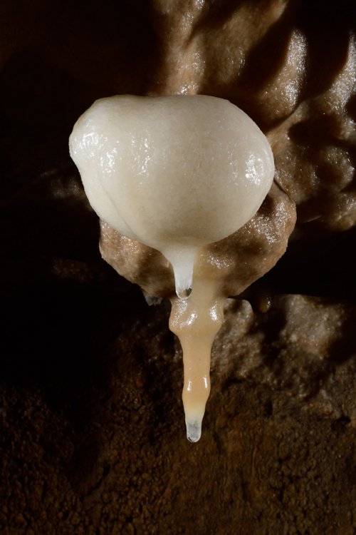 Huttenblaserschachthöhle (Allemagne) - Stalactite avec boule au plafond.(SP-18-0683)