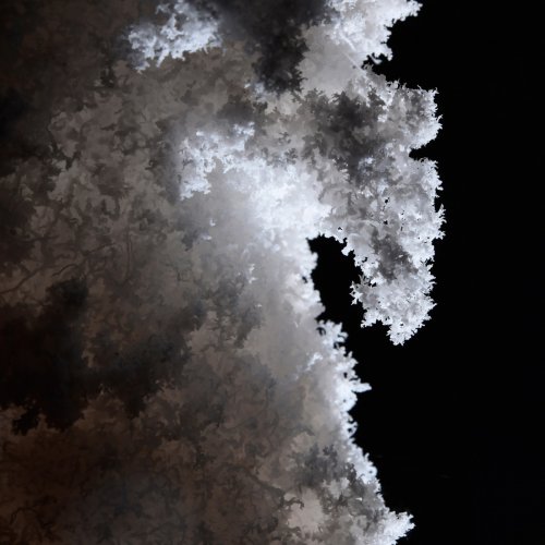 Bobcat Cave (USA - Nouveau Mexique) - Détail d'une concrétion de sel dentelée avec  en contre-jour(SP-18-0810)