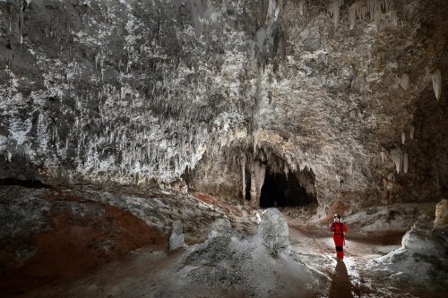 Carlsbad Cavern Lower passage (USA - Nouveau Mexique) - Grande galerie avec concrétions grises sèches (personnage de face marchant dans le cheminement balisé).  (SP-18-0829)