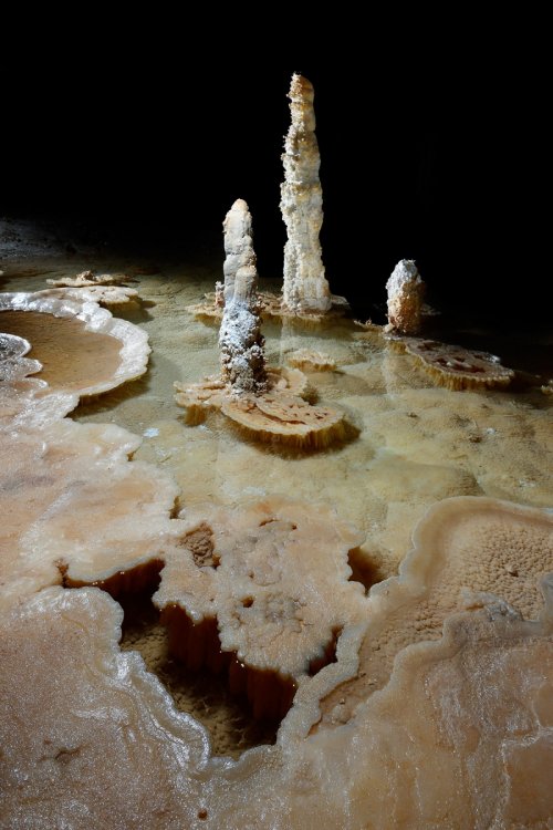 Carlsbad Cavern New Mexico Room (USA - Nouveau Mexique) - Gour  avec stalagmites(SP-18-0851)