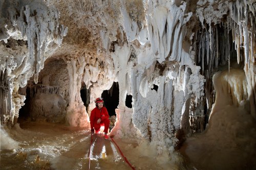 Carlsbad Cavern New Mexico Room (USA - Nouveau Mexique) - Spéléo accroupi dans petite galerie couverte de concrétions blanches(SP-18-0861)