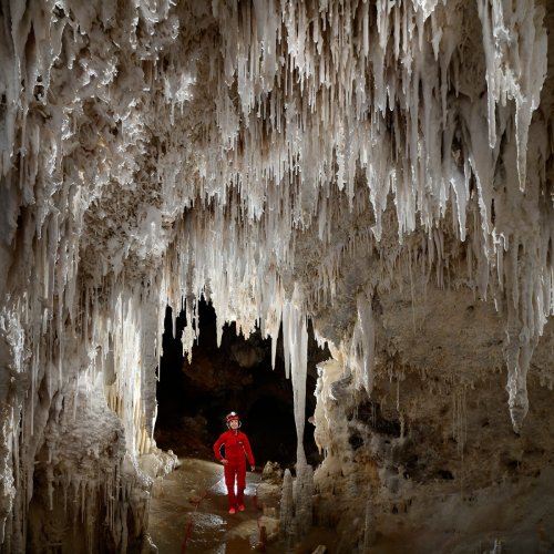 Carlsbad Cavern New Mexico Room (USA - Nouveau Mexique) - Petite galerie couverte de concrétions blanches sèches. La galerie est balisée et le spéléo porte des sandales propres pour ne pas salir le sol couvert de calcite(SP-18-0871)