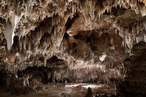 Carlsbad Cavern (USA - Nouveau Mexique) - Grande salle de King's Palace au fond de la partie touristique(SP-18-0886)