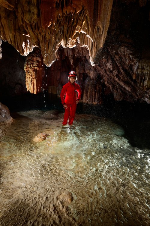 Sitting Bull Cave (USA - Nouveau Mexique) -  Spéléo dans une rivière concrétionnée regardant des gouttes tombant du plafond (SP-18-0945)
