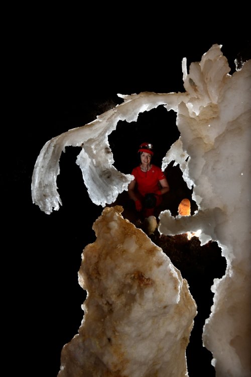 Hell Below Cave (USA - Nouveau Mexique) - Crosse de gypse avec spéléo en arrière plan(SP-18-0960)