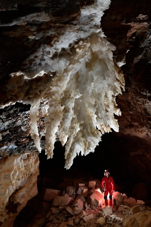 Cottonwood Cave Second Parallel (USA - Nouveau Mexique) - Grande galerie avec chandelier de gypse au plafond et spéléo en fond(SP-18-1026)