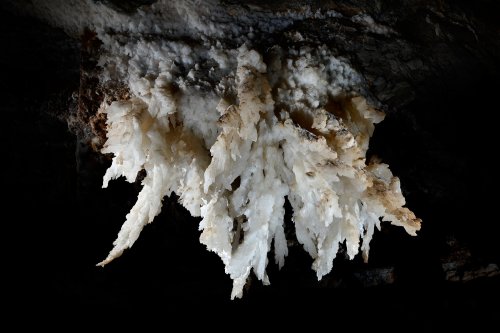 Cottonwood Cave Second Parallel (USA - Nouveau Mexique) - Chandelier de gypse au plafond(SP-18-1028)
