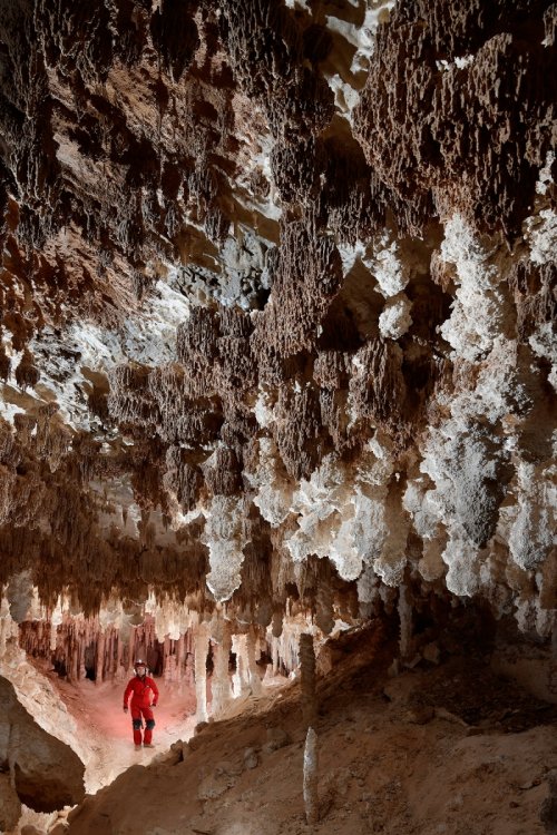 Cottonwood Cave Second Parallel (USA - Nouveau Mexique) - Petite salle concrétionnée avec baguettes d'un ancien gour au plafond(SP-18-1032)
