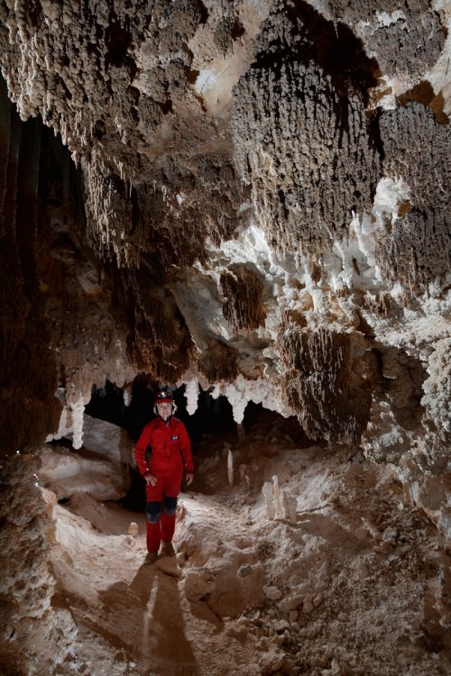 Cottonwood Cave Second Parallel (USA - Nouveau Mexique) - Petite salle concrétionnée avec baguettes de gour au plafond en premier plan (SP-18-1037)