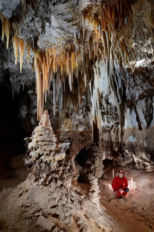 Cottonwood Cave Second Parallel (USA - Nouveau Mexique) - Spéléo accroupi au pied d'un massif concrétionné avec stalactites jaunes(SP-18-1047)