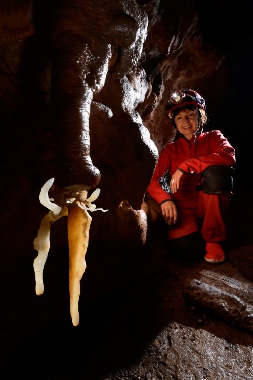 Cave Tree Cave (USA - Nouveau Mexique) - Excentrique jaune avec spéléo en arrière plan(SP-18-1073)