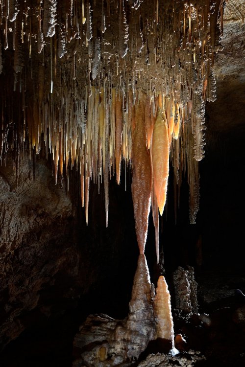Cave Tree Cave (USA - Nouveau Mexique) - Groupe de concrétions avec stalactites orange(SP-18-1081)