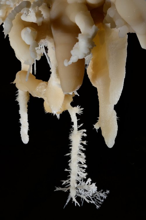 Cave of the Winds (USA - Colorado) - Stalactites jaunes et fistuleuse hérissée d'aiguilles d'aragonite(SP-18-1114)