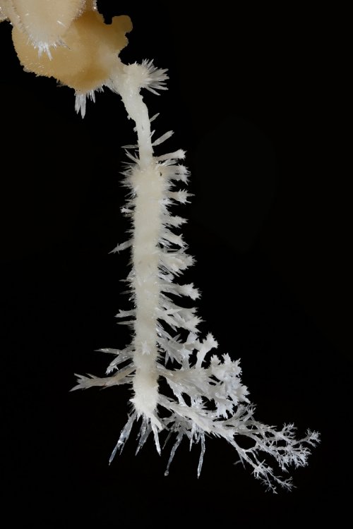 Cave of the Winds (USA - Colorado) - Fistuleuse hérissée d'aiguilles d'aragonite (SP-18-1117)