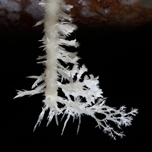 Cave of the Winds (USA - Colorado) - Détail d'une fistuleuse hérissée d'aiguilles d'aragonite(SP-18-1120)