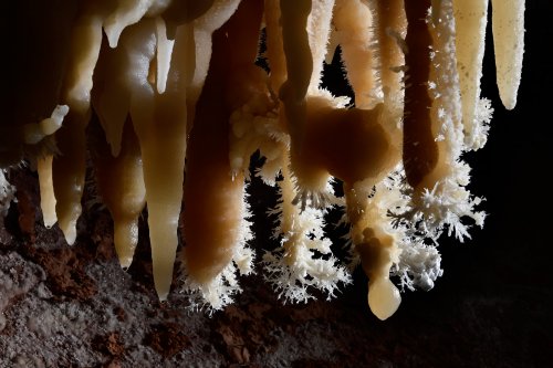 Cave of the Winds (USA - Colorado) - Ensemble de stalactites jaunes avec aiguilles d'aragonite(SP-18-1145)