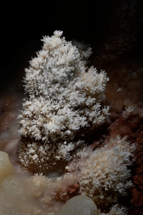 Cave of the Winds (USA - Colorado) - Petit "sapin " d'aragonite au sol. (SP-18-1146)