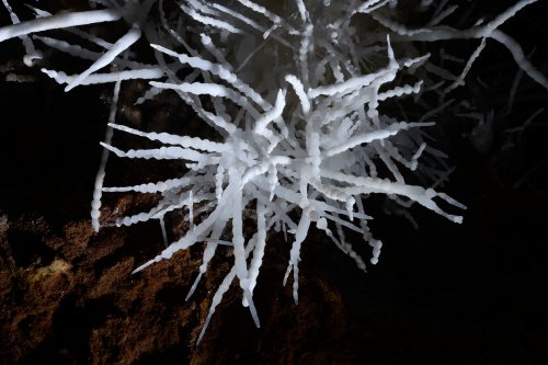 Breezeaway Cave (USA - Colorado) - Détail d'un bouquet d'aragonite coralloïde blanche au plafond avec branches faites de petites boules(SP-18-1202)