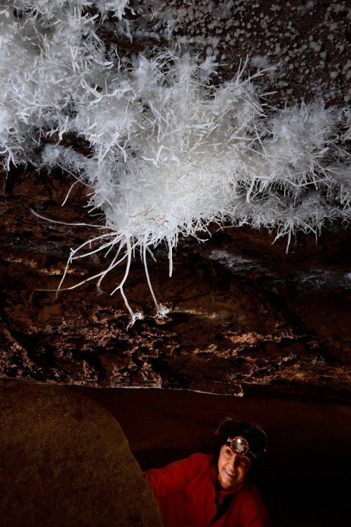 Breezeaway Cave (USA - Colorado) - Spéléo regardant par dessous un gros bouquet d'aragonite au plafond(SP-18-1204)